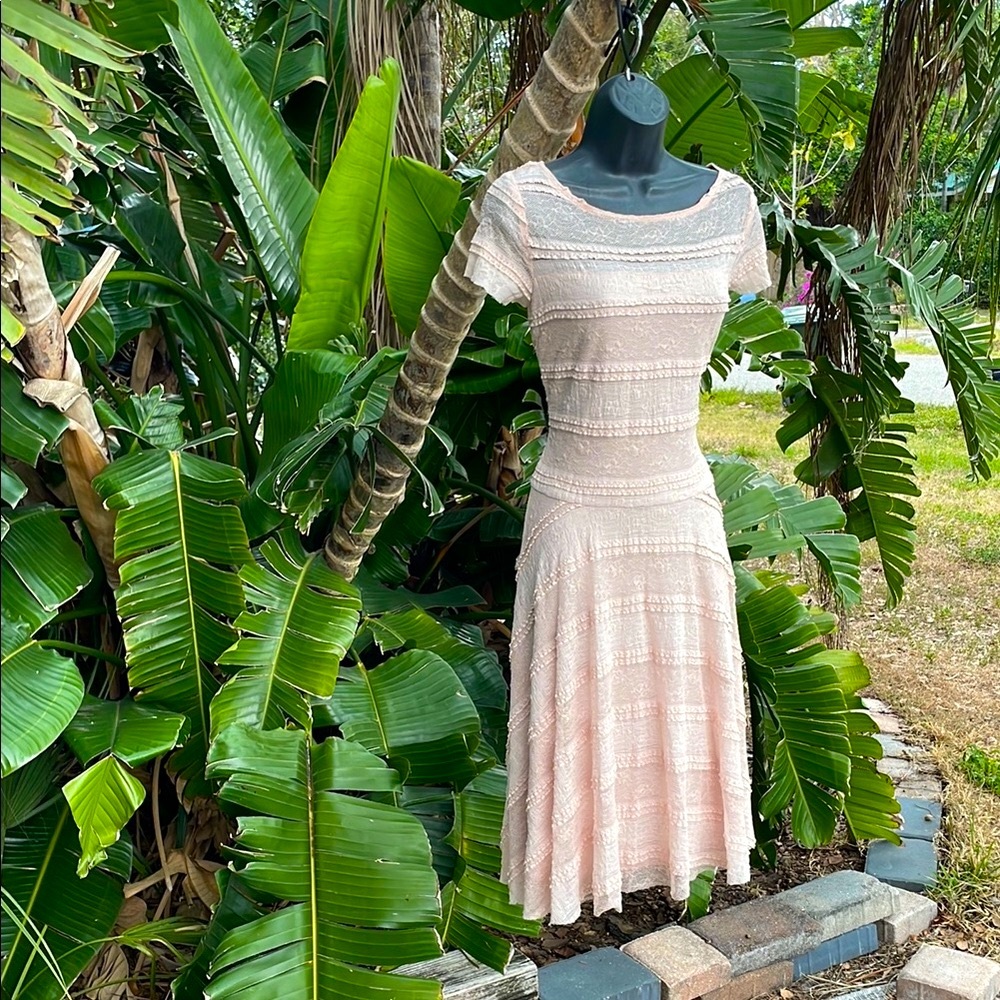 Sangria lace drop waist dress